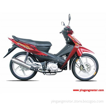 CUB (YG110-19A)